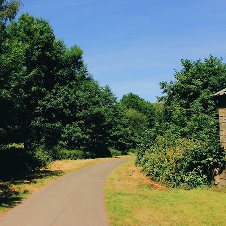Апартаменти Taff Trail Bunkhouse Мертір-Тідвіл Екстер'єр фото